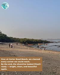 Beach after cleanup